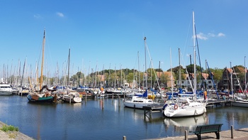 Pekelharinghaven Medemblik.jpeg